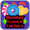 Number Crunch Factors game icon