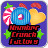 Number Crunch Factors icon