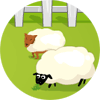 Count the Sheep